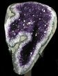 Dark Amethyst Crystal Cluster On Stand - Gorgeous #36418-1